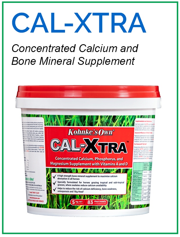 Joint and Bone Health Product