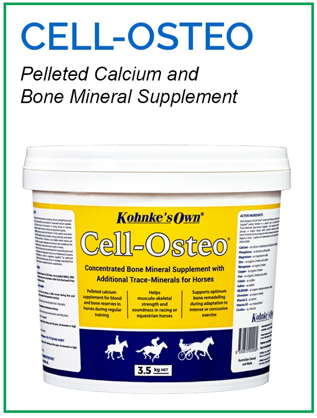 Supplements for Racing Horses