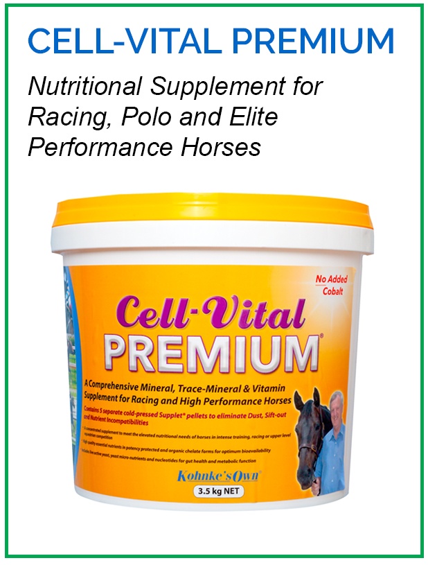 Supplements for Racing Horses