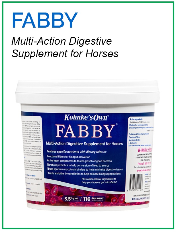 Supplement for Aged Horses