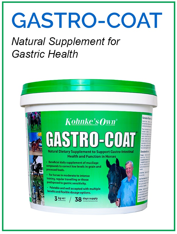 Supplement for Horses in Heavy Work